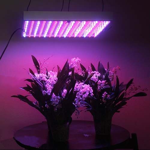 What You Need To Know About LED Grow Light Options